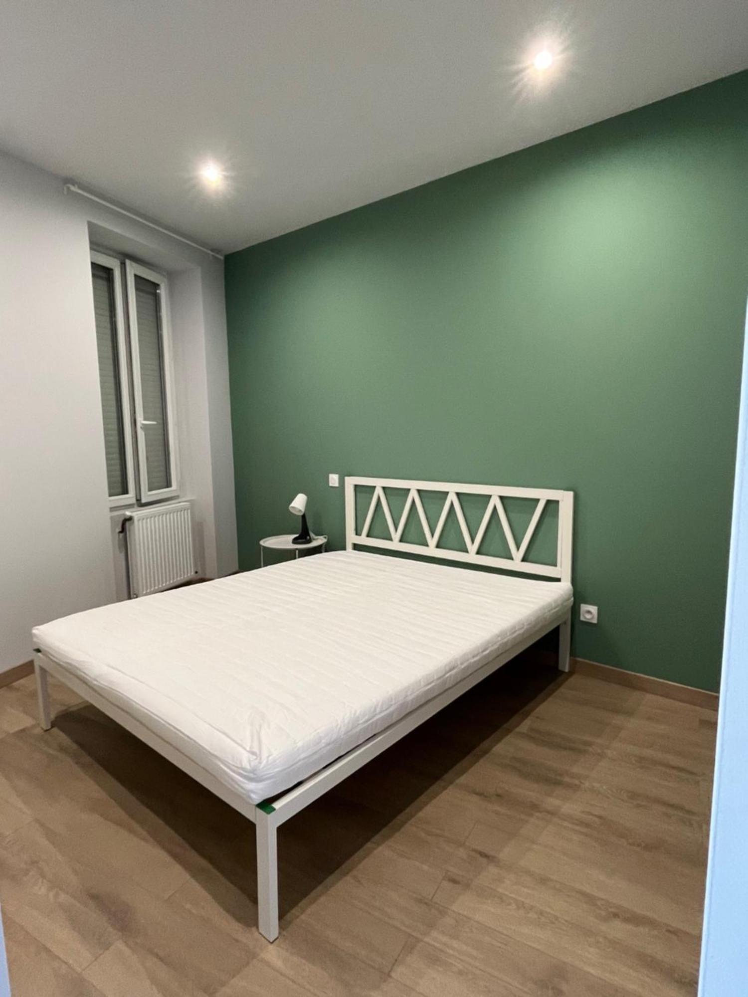 Immeuble La Doa Proche Chu Apartment Saint-Priest-en-Jarez Exterior foto